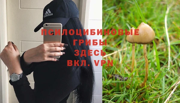 амф Заводоуковск