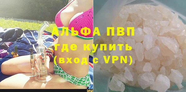 трава Ельня