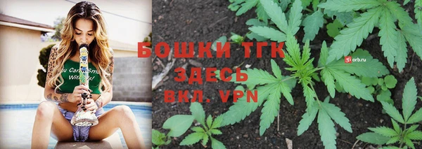 трава Ельня