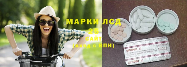 трава Ельня
