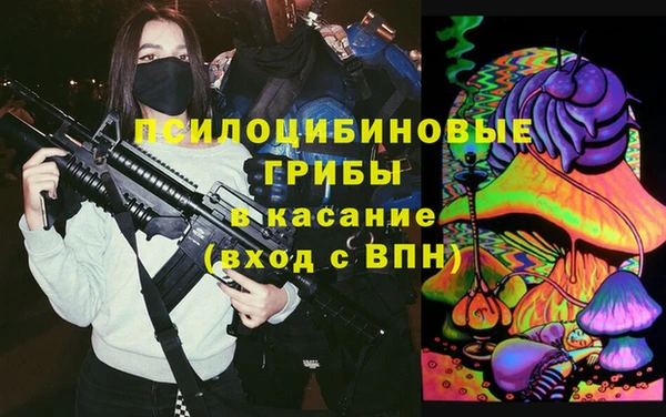 2c-b Елизово